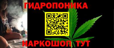 a pvp Бийск