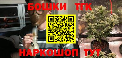 a pvp Бийск