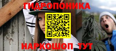 a pvp Бийск